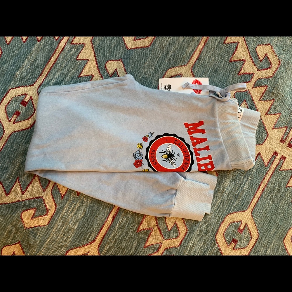 Wildfox jogger terry sweat pant